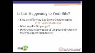 SEO Basics - What is A Search Engine Spider and a Robots.txt?