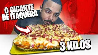 DOGÃO DE 3 KILOS NA DOGUERIA PEC MEN