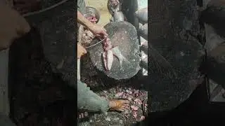 fish fresh cutting 🐠🐠🐠##&pound;fresh fish best shop##rohu mngur paplet##vlogs