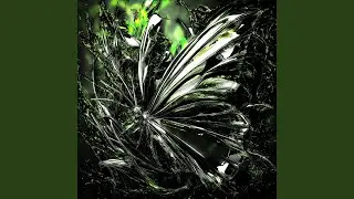 NEVER BORN (Slowed)