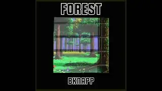 Forest - BKNAPP