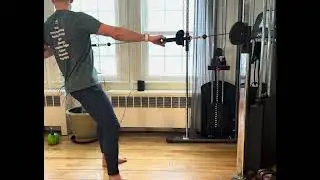 Cable Standing Alternating One Arm Row 