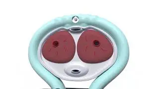 How Eddie Works
