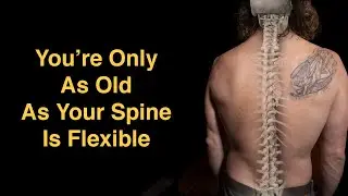 Spine Health Is Whole Body Health - Interview With A Chiropractor