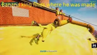 Banana king finds where he was made