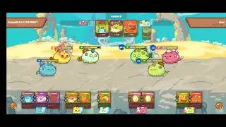 dusk termi vs bird