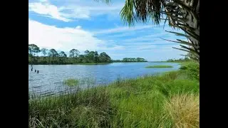 Dennis Creek Trail, Shell Mounds. Fl. Native lived here 4,500 years ago.