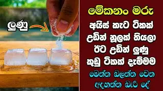 මැරෙන්න කලින් ඔයා දකින්නම ඕනි දේවල්  EP:27