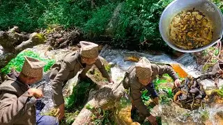 Toad🐸 Hunting In Nepali Mountain Village || Most Realxing || Toad Recipe || Rural Life Nepal ||