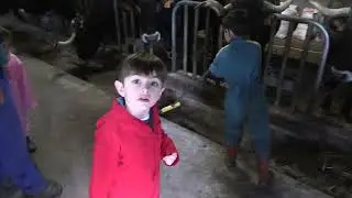 Ganaderos en su h&aacute;bitat | Tudancas en Mazcuerras | 1.3.2025