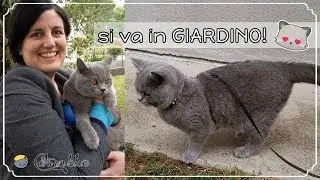 Si va in giardino con i gattini