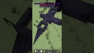 minecraft wtf moments  #minecraft #moment