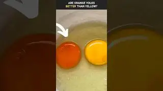 Are Orange Yolks Better Than Yellow? | #shorts 863