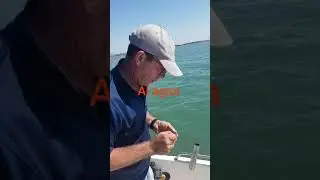 Buena jornada de pesca en la Bahía de Cádiz