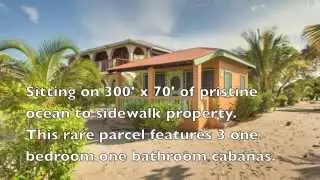 Boris Mannsfeld & Associates Listing Y135