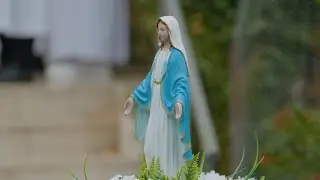 Erdő Péter a szentkúti főbúcsún: A hitünk szerves, élő, történelmi valóság