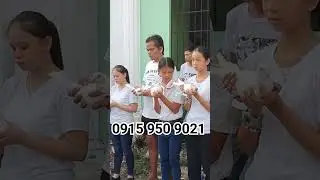 Funeral dove release #pigeon #funeral #dove #peacedove #funeralhome