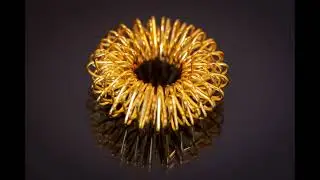Golden Torus - Nikon D750, Nikon AF-S VR Micro-NIKKOR 105mm f/2.8G IF-ED