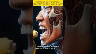 What Happens To Your Body When You Eat A Banana? 🍌😲 #Shorts