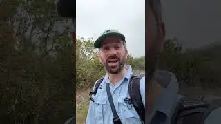 Yoooo!! Birding on Catalina Island, coastal California. #yolifestyle #birds #nature