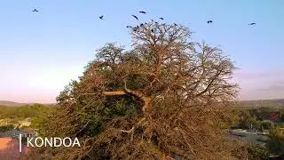 MUONEKANO WA MJI WA KONDOA