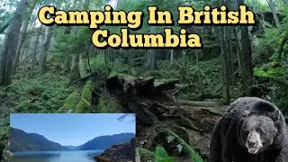 Kayaking BC's Wild West Coast: Encounters with Bears and Seals