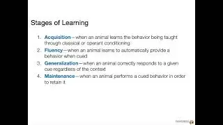Dog Training Concepts: Stages of Learning (course teaser)