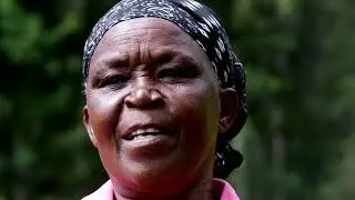 FROM FARM TO FUTURE | MY JOURNEY WITH THE KTDA FARMER FIELD SCHOOL| MOGOGOSIEK TEA FACTORY