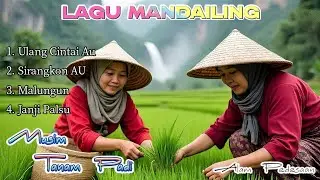Saba Huta Sukaramai Aek Galoga | Lagu Tapsel Madina | Suasana Pedesaan Saat Musim Tanam Padi!