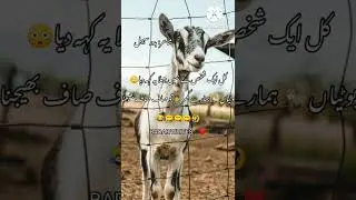 eid speicial poetry ||latest eid poetry ||eid status || Funny status || funny poetry ||eid poetry