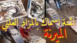 أثمنة بعض اسماك اليوم بالمزاد العلني 11/05/19 الميرنة