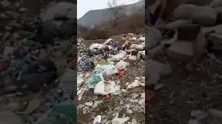video 1548687891