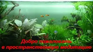 Deep audio & video relaxation * Charming music * Aquarium * Видео звуковая релаксация * Аквариум