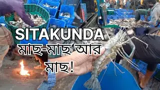 সীতাকুণ্ডে বিশাল মাছের সমাহার!Sitakunda Fish Market (Arat-আড়ৎ)