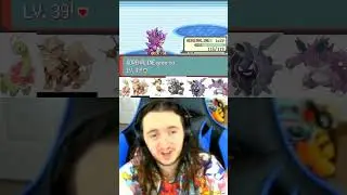 What I say to trainers who use Delibird