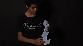 Dark Caridistry by Indian | Cartamundi Ace & Bicycle Cards | Dark Cardistry Videography | Satisfying