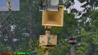 Tornado siren Sparta Y2K Remix