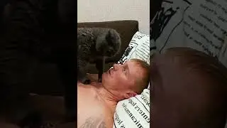 Слышал Доллар поднялся? | Video jokes memes from tik tok short stories #5