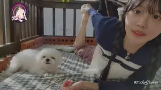 Asian girl 34 (socks off)