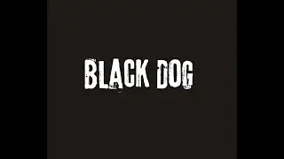 Bare Knuckle Black Dog bridge pickup demo