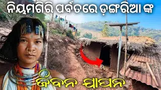 ନିୟମଗିରି ର ଲୁଚି ରହିଥିବା ଗାଁ | Niyamgiri Hidden Village | Dipak Odia Vlogs #odiavlog 