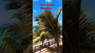 #mauritius #mauritiusexplored #island #fyp #trending #travel #travelvlog #gopro  #summer #4k