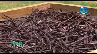 Heilala Vanilla on Fiji Talk Business