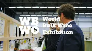 WBWE Amsterdam 2024 - Highlights