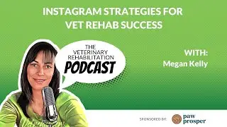 Instagram Strategies for Vet Rehab Success with Megan Kelly