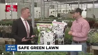Learn more about having a safe green lawn