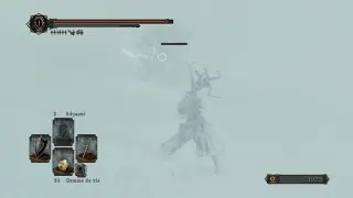 DARK SOULS II: Traverser la lisi&egrave;re gel&eacute;e + Boss Lud et Zallen  DLC La couronne du Roi d'ivoire