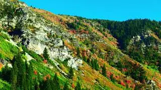 Fall 2020 Kamas Utah