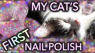 My Cat Menchie's first nail polish pr0n!
