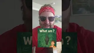 What's My Name? #episode4 #animal #wordplayfun